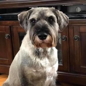 Meet your Posher, Sandra